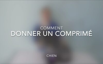 Comment donner un comprimé à un chien ou un chat