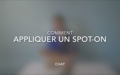 Comment appliquer Spot-On