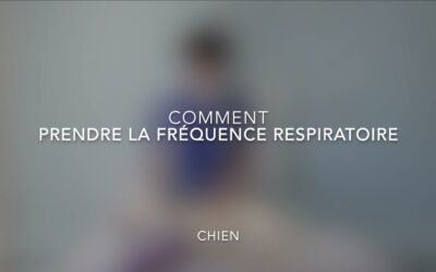 Comment prendre la fréquence respiratoire