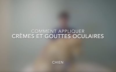 Comment appliquer crèmes et gouttes oculaires