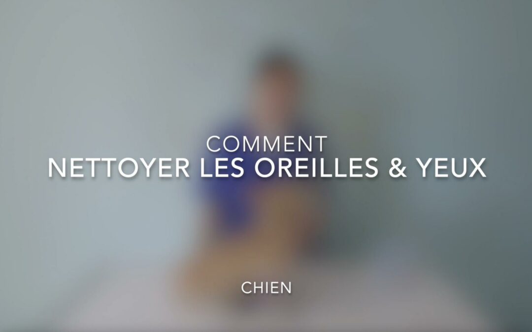 Comment nettoyer les oreilles & yeux