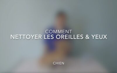 Comment nettoyer les oreilles & yeux